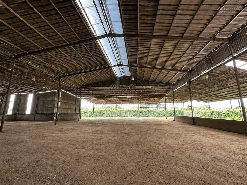 Cho thuê xưởng giá rẻ tân an, đồng nai. diện tích khuôn viên 25.000 m2 (2ha5)