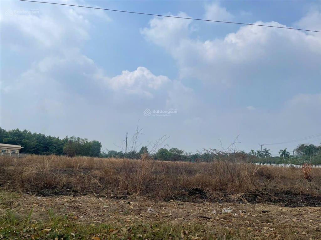 Chuyển nhượng lô đất skk trong kcn đồng nai