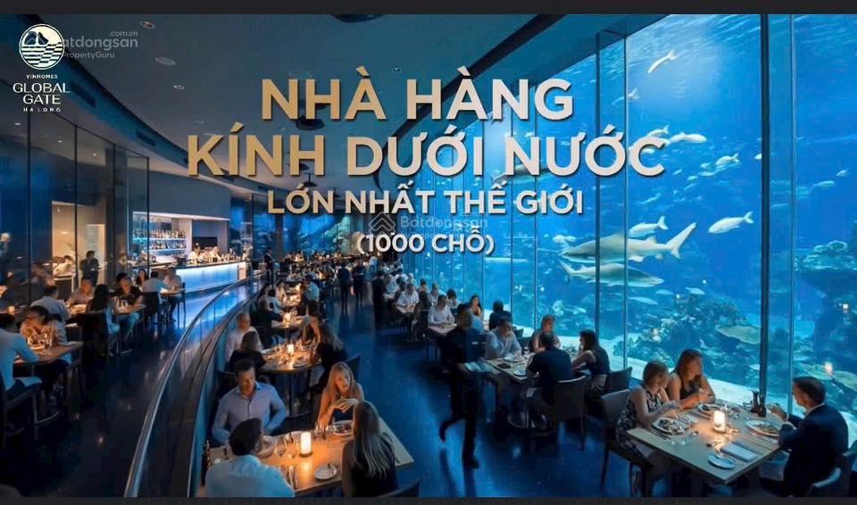Bán nhà phố 4 tầng 6,259 tỷ, 50m2 tại vinhomes global gate hạ long