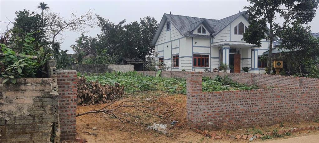 Bán gấp đất thổ cư tại xã yên bài, ba vì, hà nội, giá siêu hời 5,1 tỷ, 220 m2