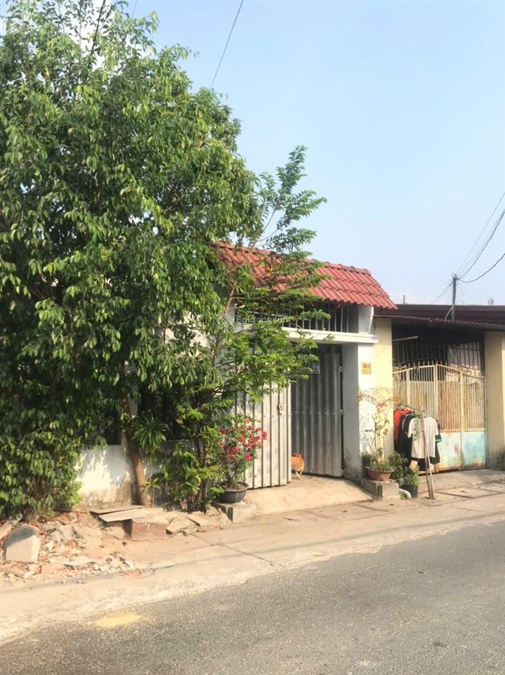 Bán nhà vườn mặt tiền đường 42 chợ việt kiều củ chi ngang 6m dài 20, một lầu