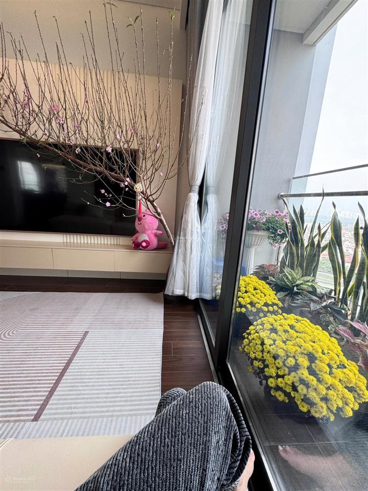 Tôi chính chủ bán gấp căn đập thông 110m view hồ, tầng trung. giá 10.5 tỷ