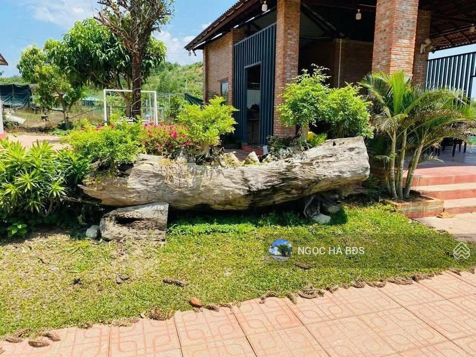 Chủ cần bán nhà cấp 4 có vườn cây ăn trái  303m2 ( 8,5m x 36m ) giá chỉ 2 tỷ 250, hxh sổ sẵn