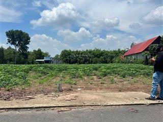 Đất ngợp ở hội nghĩa vị trí đẹp 100m2/1ty170 ngay sau chợ quang vinh 3,tiện khai thác đầu tư kd shr