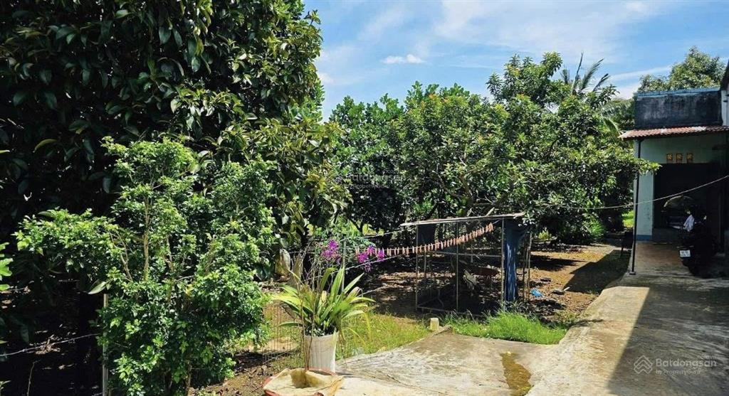 Căn nhà vườn 500m2 1ty265tr ngay mt nguyễn văn linh chơn thành sẵn dòng tiền 8tr và vườn bưởi shr