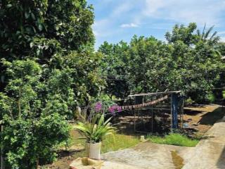 Căn nhà vườn 500m2 1ty265tr ngay mt nguyễn văn linh chơn thành sẵn dòng tiền 8tr và vườn bưởi shr