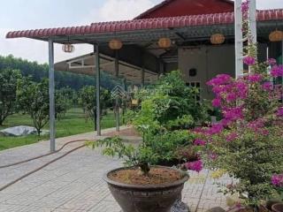 Siêu phẩm nhà vườn mt sát chợ trừ văn thố 1000m2 sát trục ql13 sẵn khai thác đầu tư cho thuê