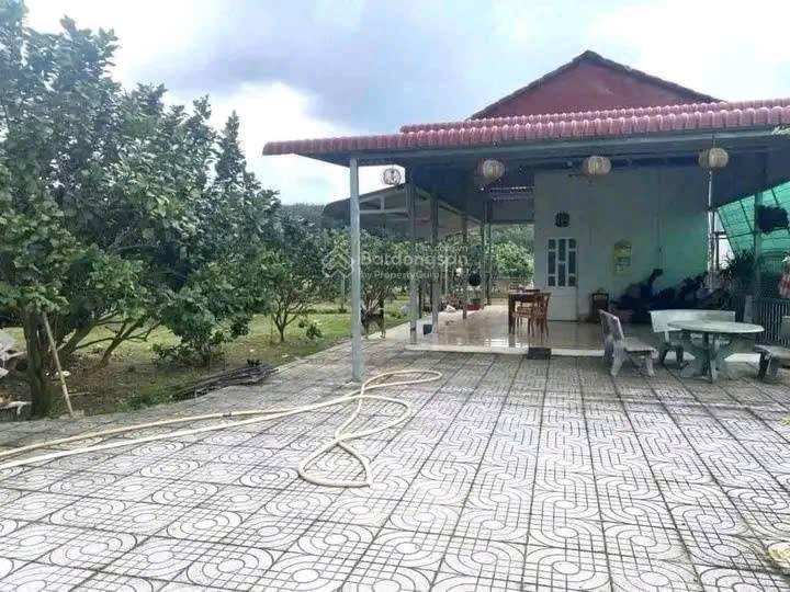 Siêu phẩm nhà vườn mt sát chợ trừ văn thố 1000m2 sát trục ql13 sẵn khai thác đầu tư cho thuê