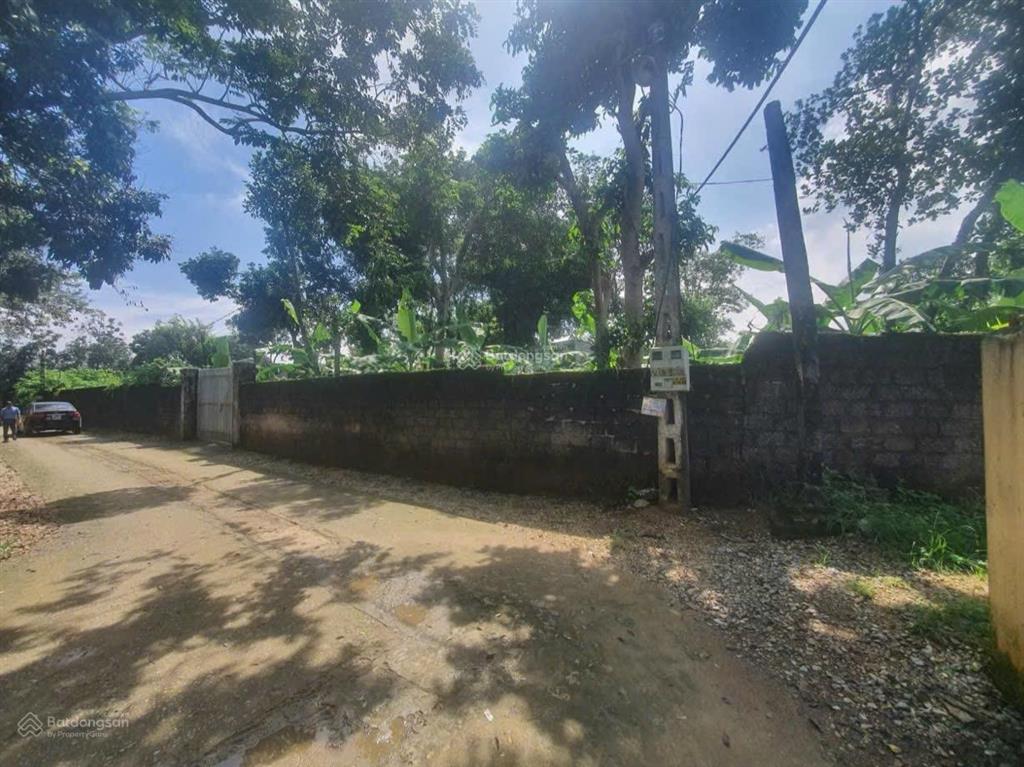 Chính chủ cắt bán 193,29m² xuân linh  xuân mai