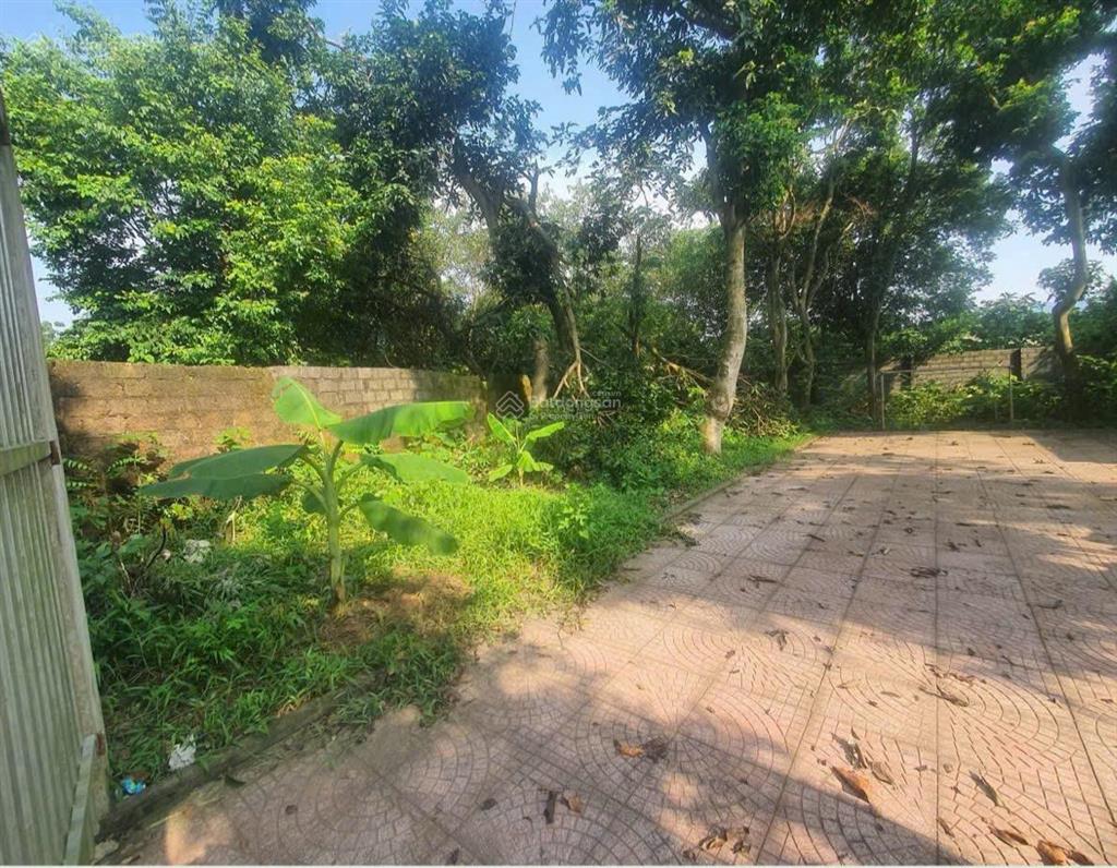 Chính chủ cắt bán 193,29m² xuân linh  xuân mai
