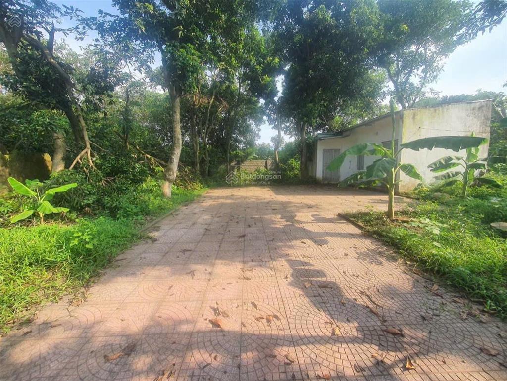 Chính chủ cắt bán 193,29m² xuân linh  xuân mai