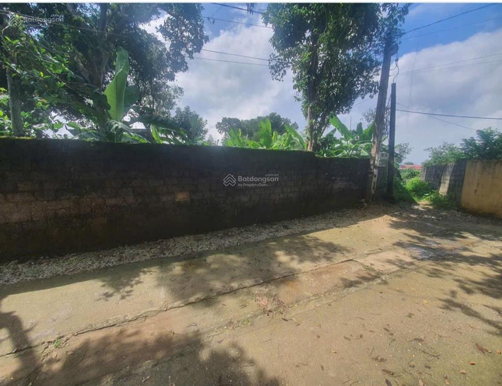 Chính chủ cắt bán 193,29m² xuân linh  xuân mai