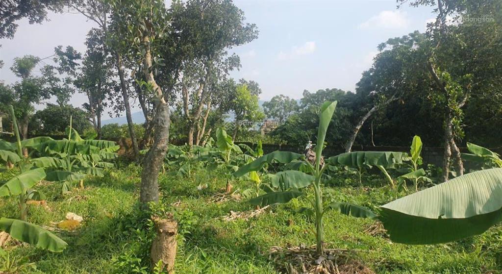 Chính chủ cắt bán 193,29m² xuân linh  xuân mai
