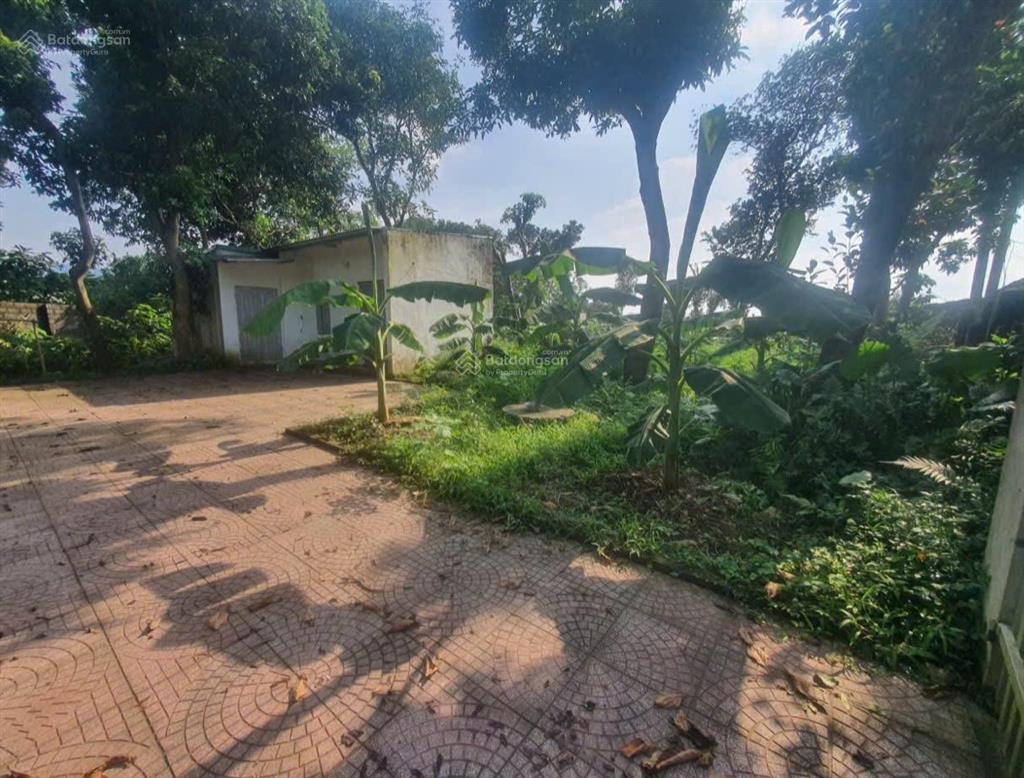 Chính chủ cắt bán 193,29m² xuân linh  xuân mai