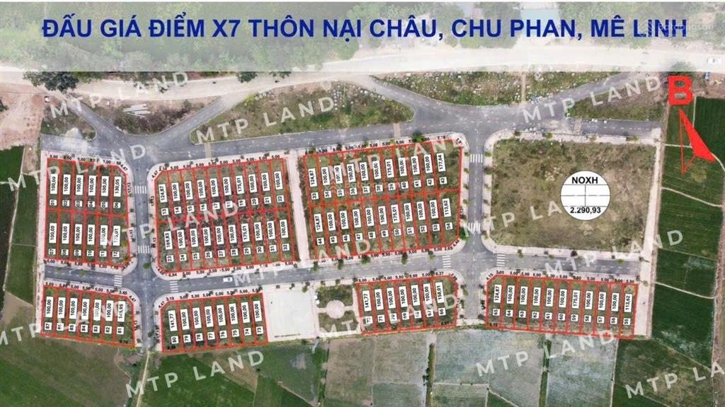 Đất đấu giá chu phan giá 4x rẻ nhất mê linh