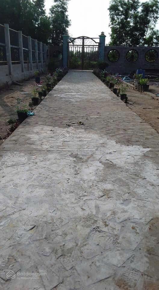 Bán đất tân nhựt  bình chánh  2000m2  chỉ nhỉnh 11 tỷ