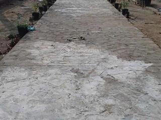 Bán đất tân nhựt  bình chánh  2000m2  chỉ nhỉnh 11 tỷ