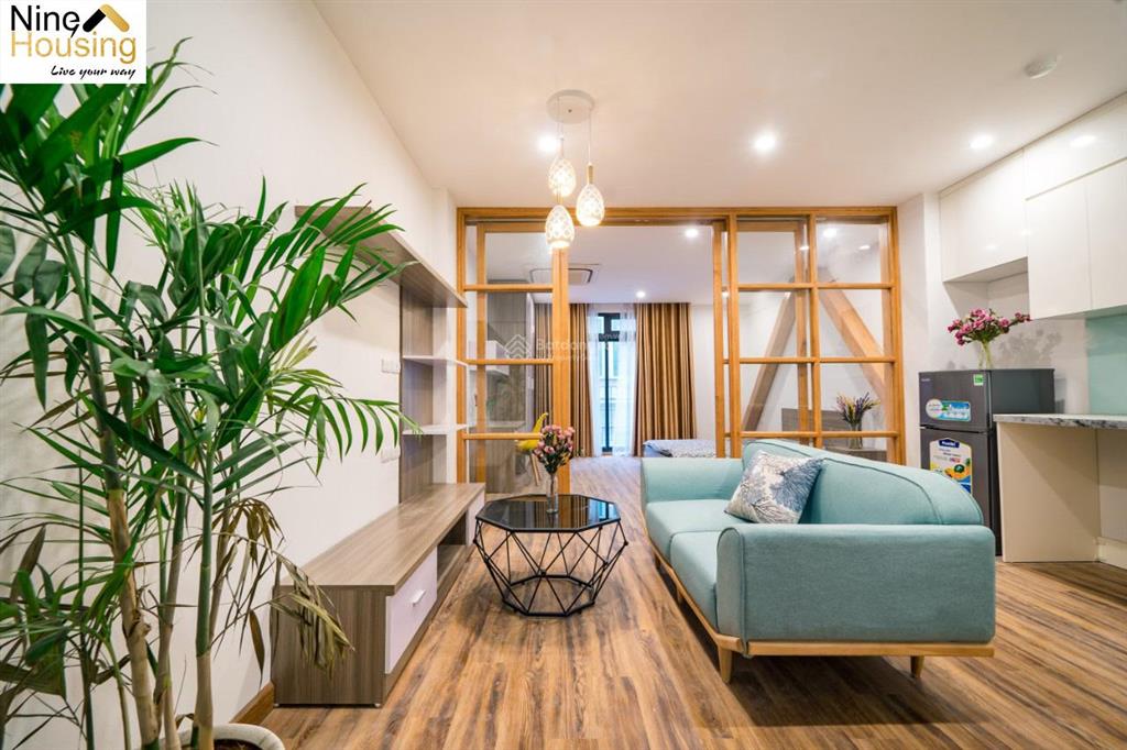 Cho thuê căn hộ 1 ngủ 1 khách phố trung hòa