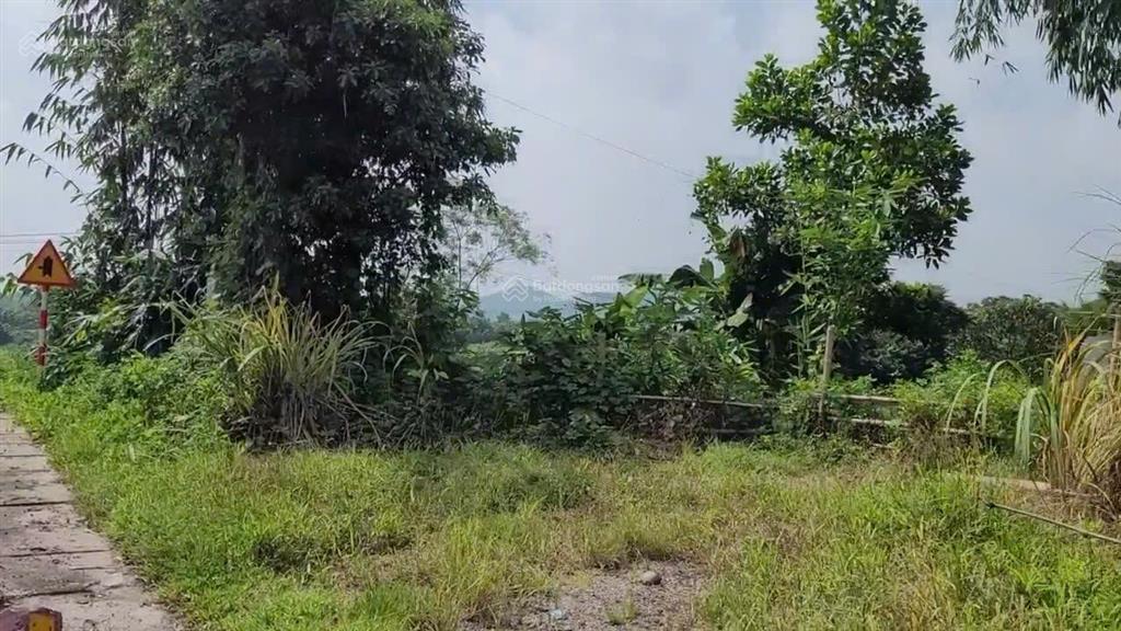 Bán đất tại xã thái bình, yên sơn, tuyên quang, giá cực chất 3,5 tỷ, 420m2