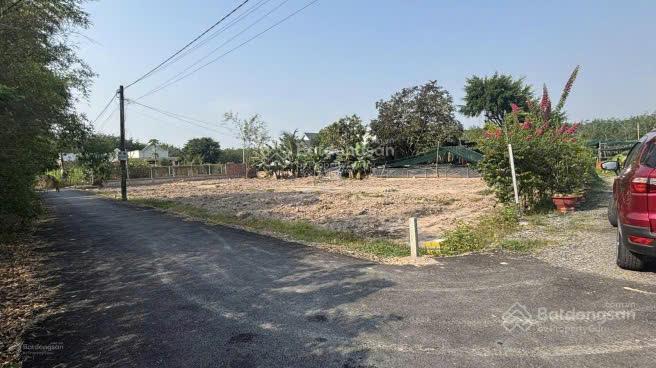 Đất sào cần bán gấp  dt 100m2