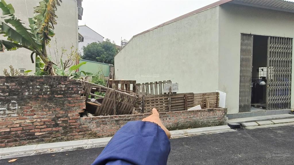 Hàng hiếm tại lực canh đông anh giảm giá sâu