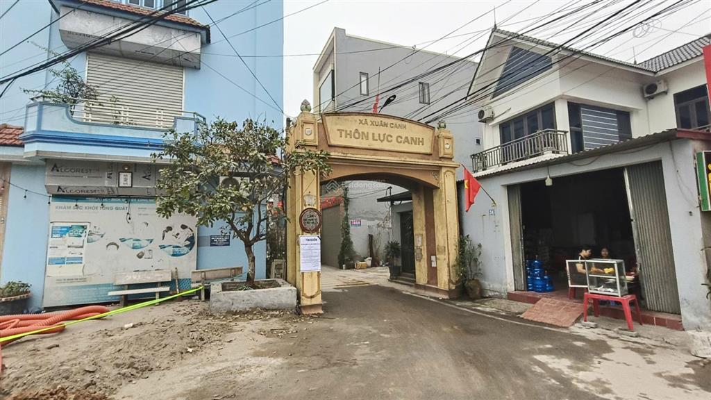 Hàng hiếm tại lực canh đông anh giảm giá sâu