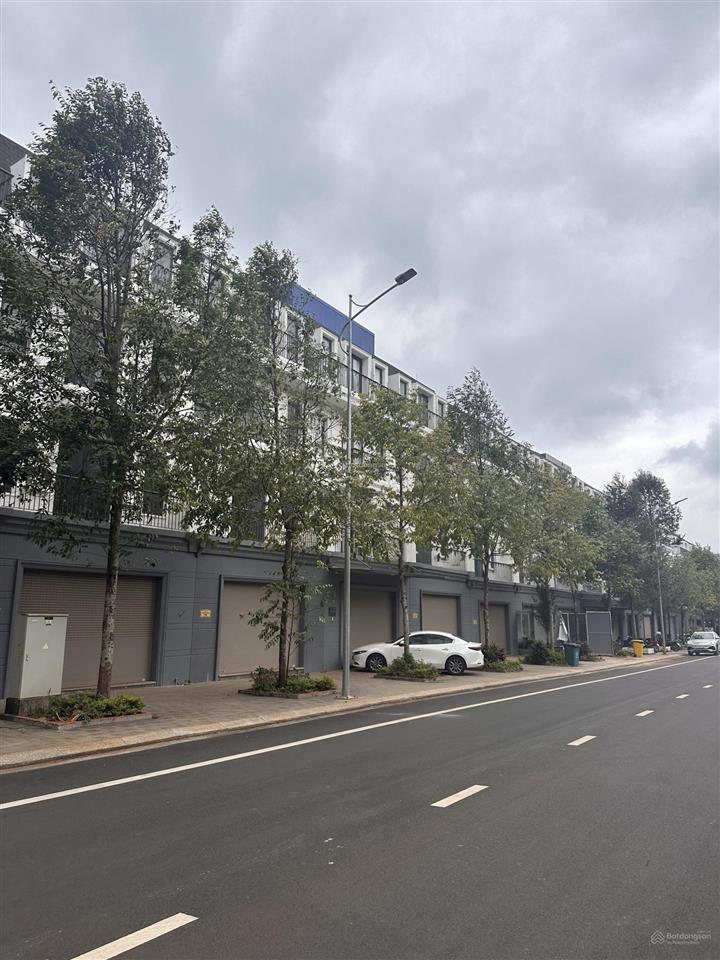 Bán 2 căn liền kề 12m mặt tiền tôn đức thắng, dự án eco city premia bmt. giá 26 tỷ