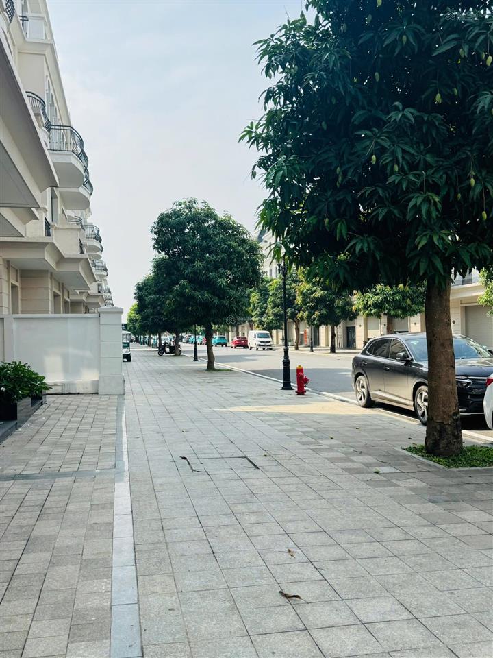 Chính chủ bán song lập kinh đô ocp2 vị trí siêu đẹp sát trung tâm thương mại vincom