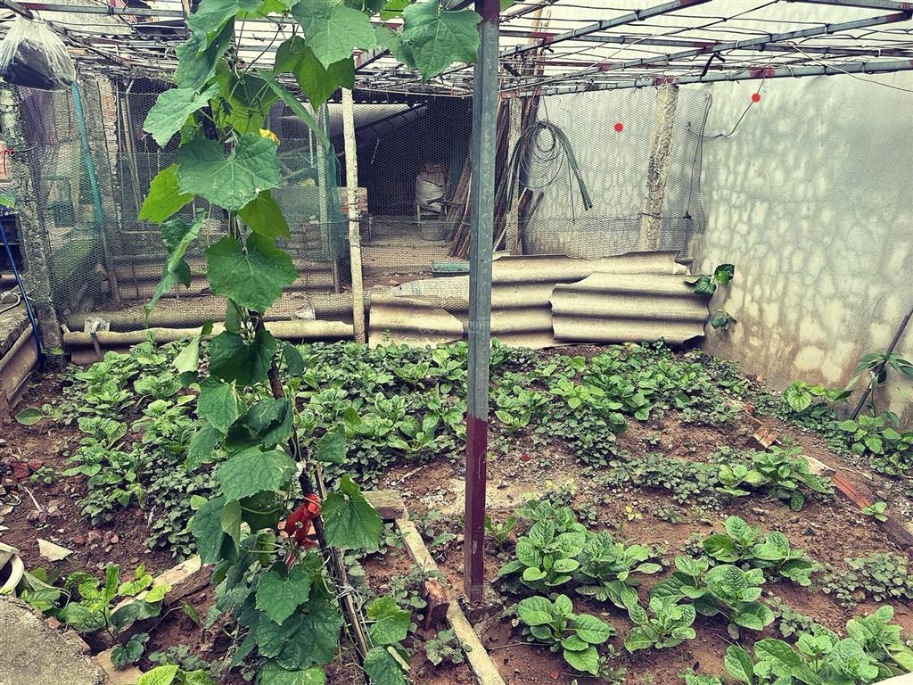 Bán đất ỷ lan đặng xá dt 65m2 vài bước ra ô tô tránh gần trường học các cấp dân cư đông đúc