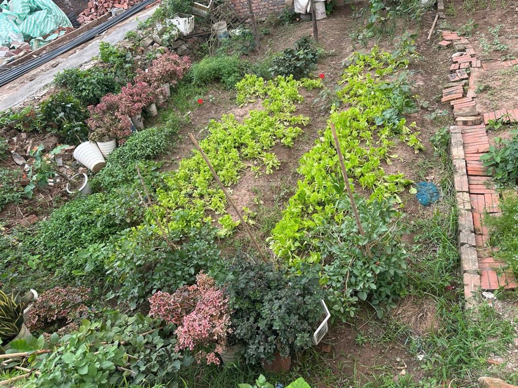 Bán đất ỷ lan đặng xá dt 62m² 2 bước ra ô tô tránh khu vực phát triển phân khúc hữu hạn