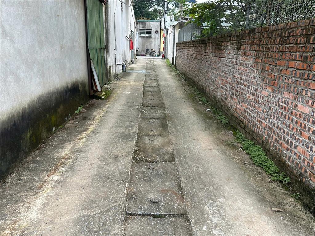 Bán đất dương đức hiền gia lâm dt 45m² giá hơn 2 tỷ ngõ thẳng tắp một bước ra ô tô gần trường chợ