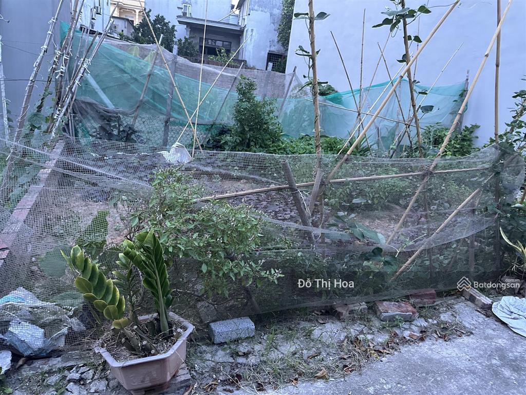 Bán đất dương quang gia lâm dt 65m² vài bước ra ô tô gần chợ khu dân cư văn minh nhỉnh 3 tỷ