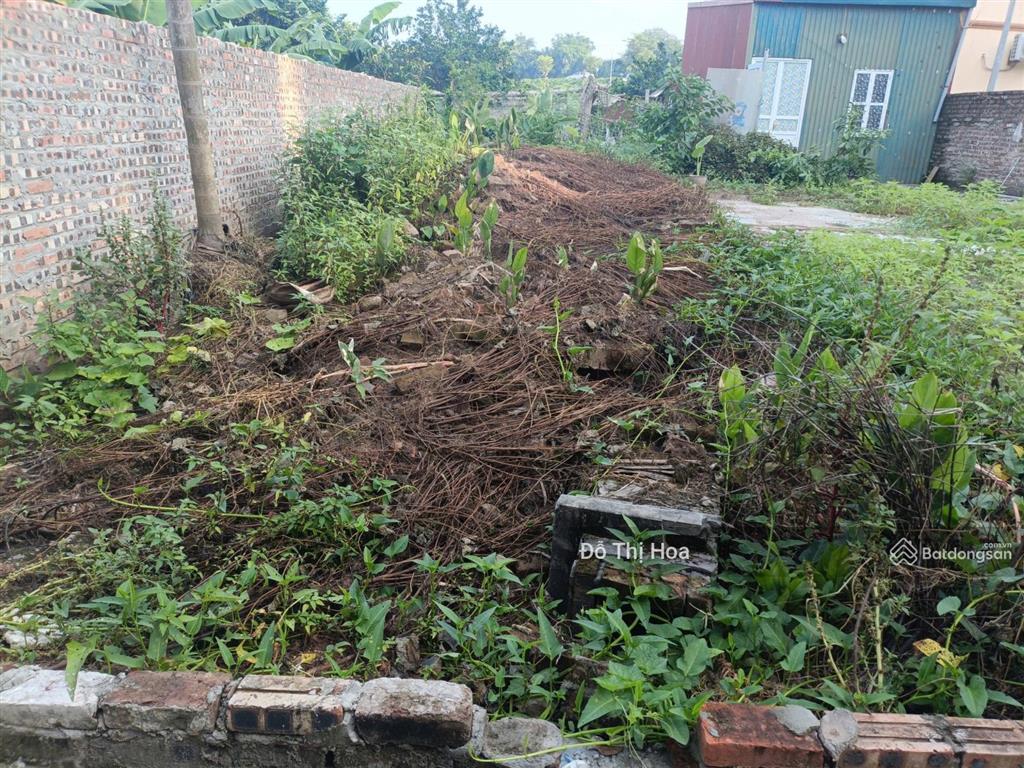 Bán đất thuận an gia lâm dt 75m² vài bước ra ô tô ngõ nông gần chợ dân sinh, giá hơn 3 tỷ