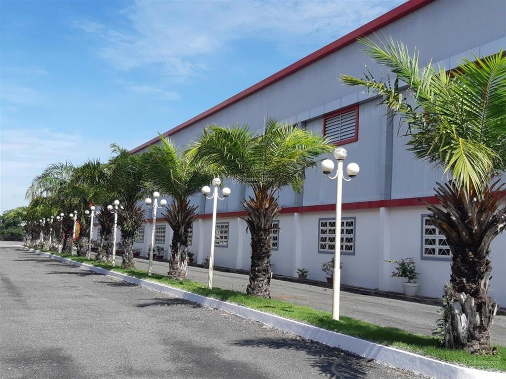 Chính chủ cho thuê kho xưởng phước lý, cần giuộc, diện tích 1440 m2