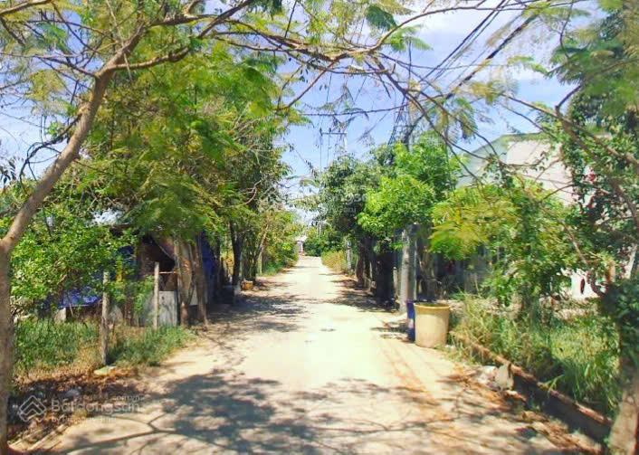 Bán 7240m2 đất nn mặt tiền đ. lê văn lương 2  xe hơi tới đất