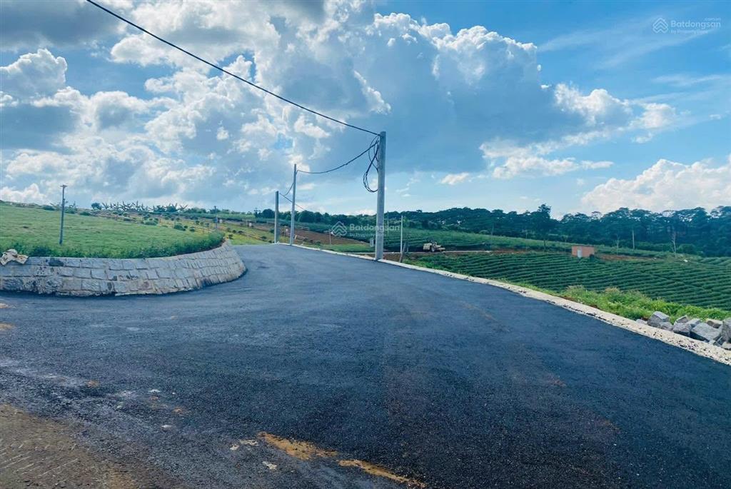 Đất phường 2 bảo lộc view rừng thông, hồ giá chỉ 2,3 triệu/m2