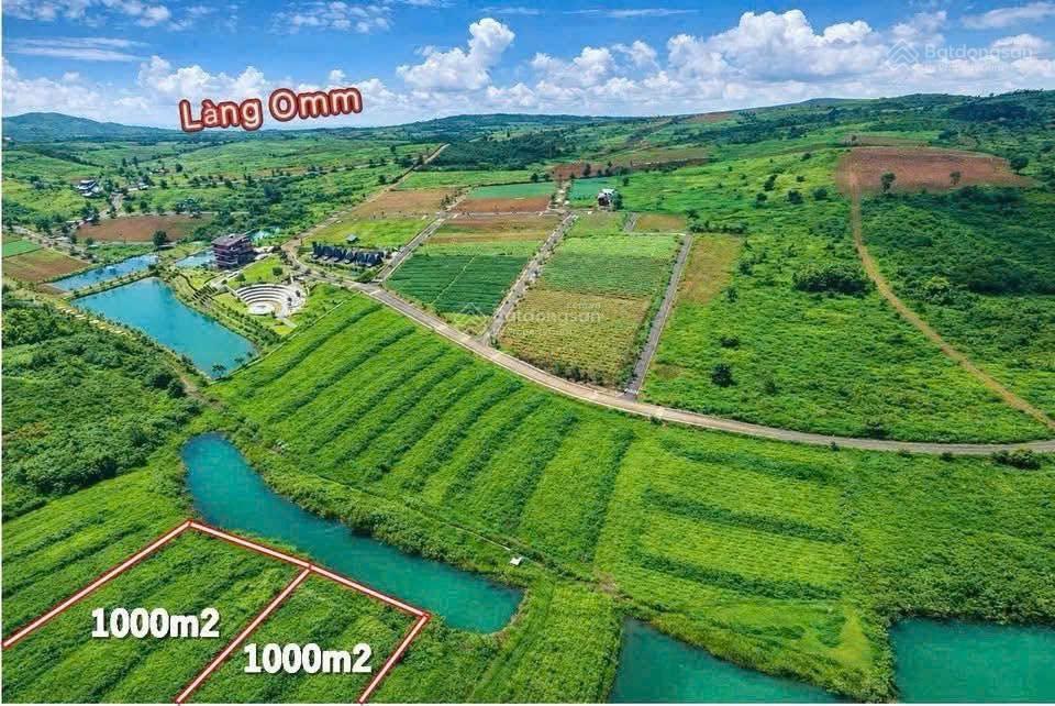 Đất phường 2 bảo lộc view rừng thông, hồ giá chỉ 2,3 triệu/m2