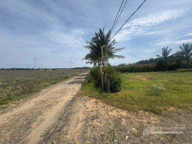 Đất nông nghiệp hòa thắng bình thuận, dt 2.000m2, gần bàu trắng 23km