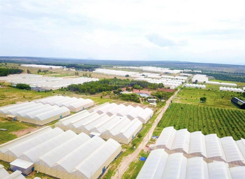 Đất nông nghiệp hòa thắng gần bàu trắng, cách biển 57km