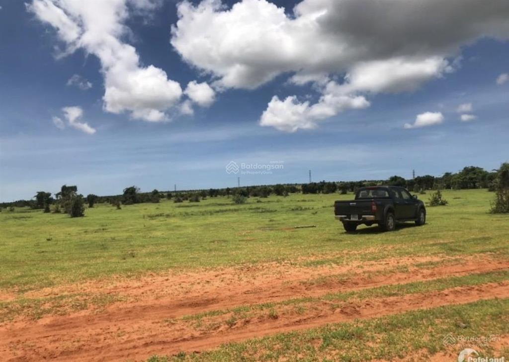 Đất nông nghiệp hòa thắng gần bàu trắng, cách biển 57km
