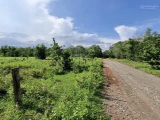 Đất nông nghiệp hòa thắng gần bàu trắng, cách biển 57km