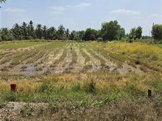 Đất thổ cư tại đường ấp 2, huyện đức hòa, giá cực chất 650 triệu, 110m2