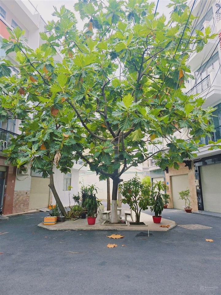 Khu nội bộ phường tân thành  đúc 3 lầu mới đẹp. giá 8.8 tỷ tl