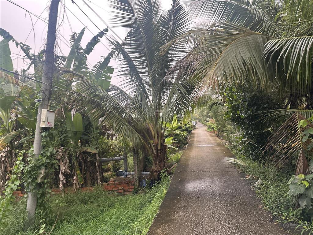 Bán đất xây nhà rộng rãi 1.253,4m xã cái nhum, vĩnh long giá chỉ 1 tỷ 6