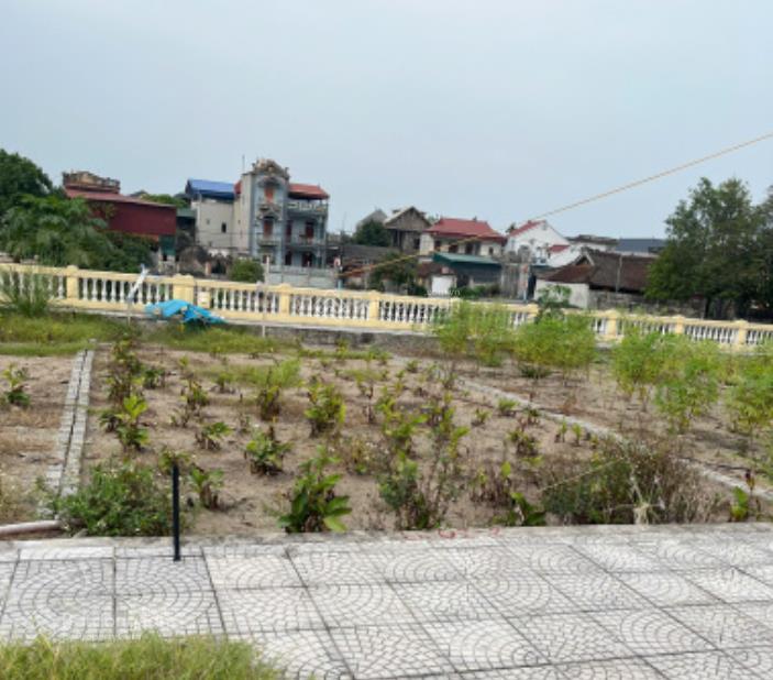 Tôi chính chủ bán đất đấu giá xã đại cường ứng hòa 84m² mặt tiền 6m sẵn sổ đỏ giá rẻ chỉ 37tr/m2