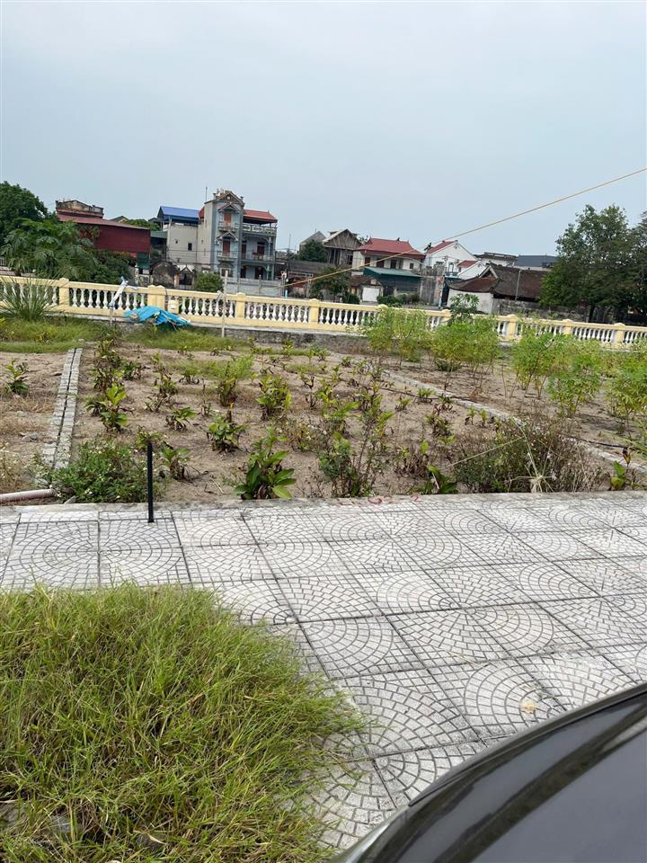 Tôi chính chủ bán đất đấu giá xã đại cường ứng hòa 84m² mặt tiền 6m sẵn sổ đỏ giá rẻ chỉ 37tr/m2