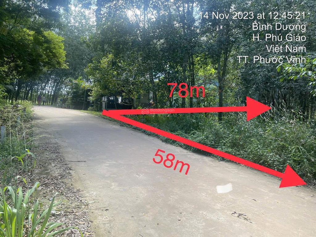 3553,7m2 có sẵn nhà cấp 4  mặt tiền 58m8 nhánh bàu ao, phú giáo, bình dương