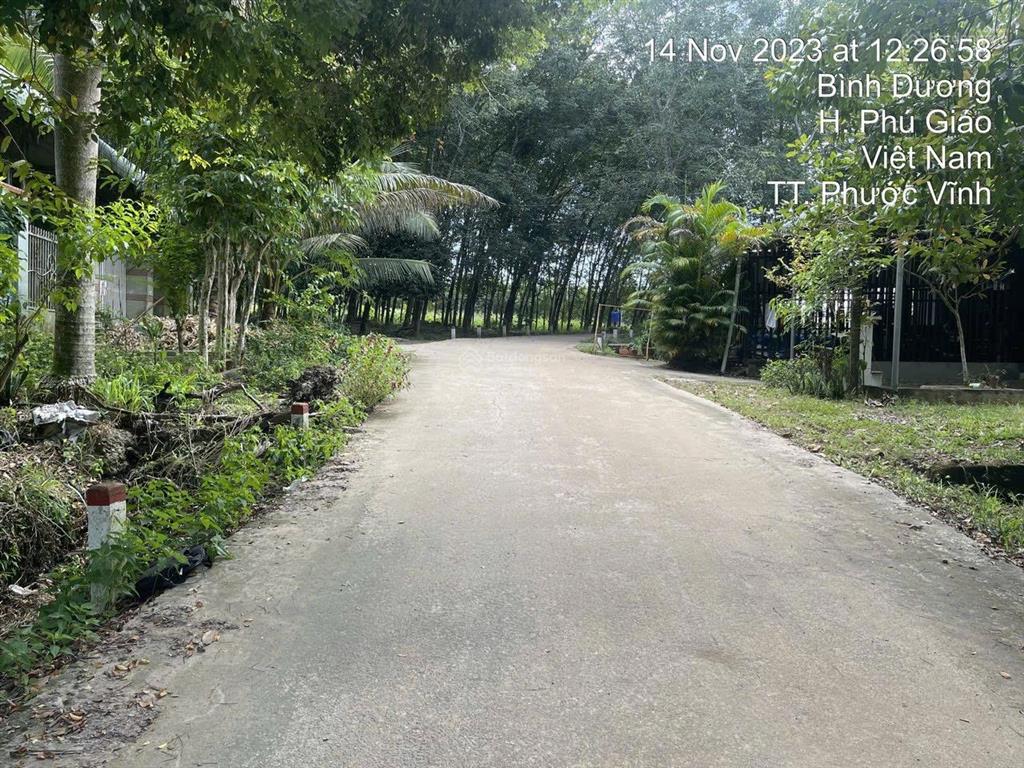 3553,7m2 có sẵn nhà cấp 4  mặt tiền 58m8 nhánh bàu ao, phú giáo, bình dương