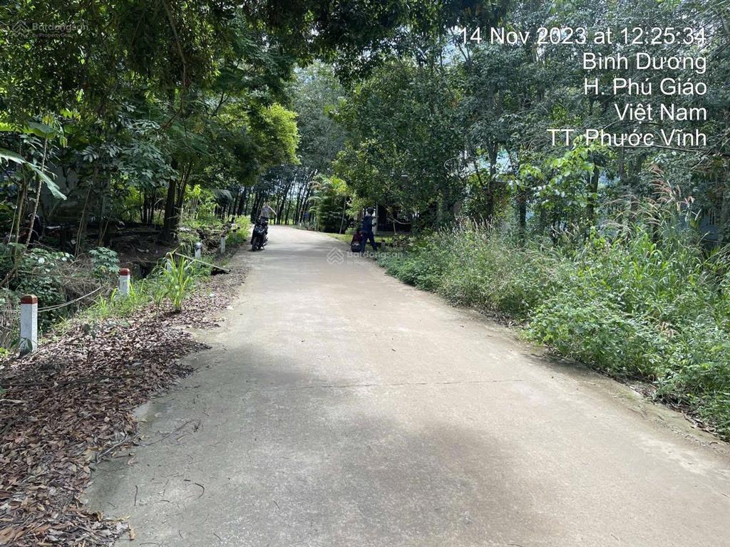3553,7m2 có sẵn nhà cấp 4  mặt tiền 58m8 nhánh bàu ao, phú giáo, bình dương