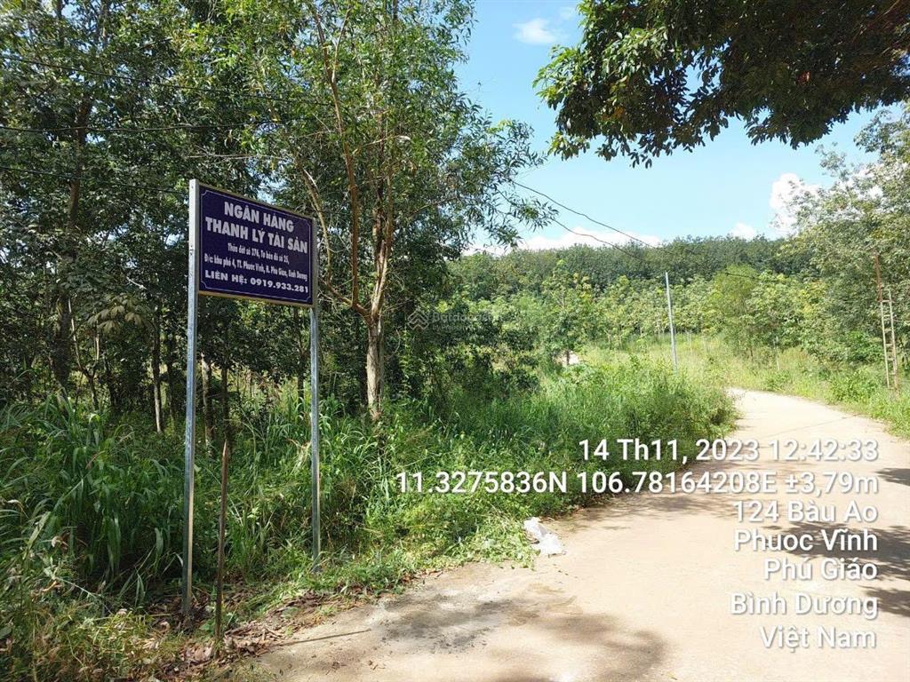 3553,7m2 có sẵn nhà cấp 4  mặt tiền 58m8 nhánh bàu ao, phú giáo, bình dương